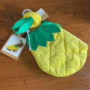 New Dog/Cat Small Pineapple Halloween Costume